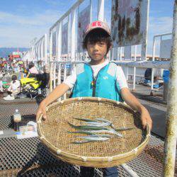 尼崎市立魚つり公園 釣果