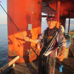 尼崎市立魚つり公園 釣果