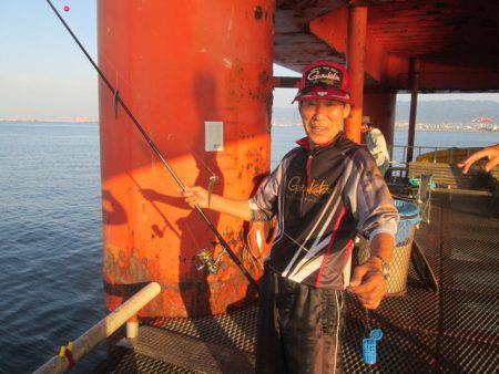 尼崎市立魚つり公園 釣果