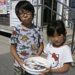 大阪南港海つり公園 釣果