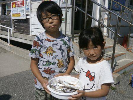 大阪南港海つり公園 釣果