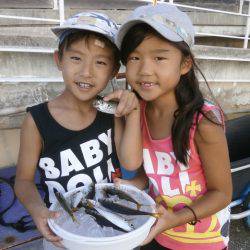 大阪南港海つり公園 釣果