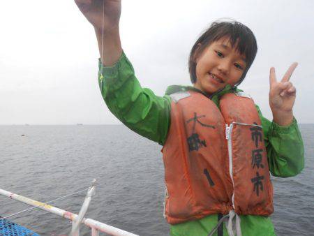 オリジナルメーカー海づり公園(市原市海づり施設) 釣果