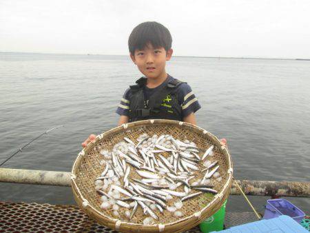 尼崎市立魚つり公園 釣果