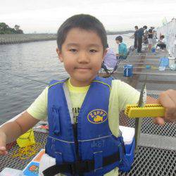 尼崎市立魚つり公園 釣果