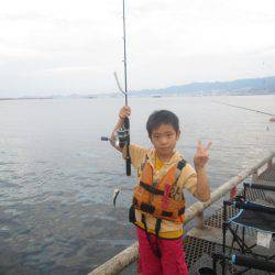 尼崎市立魚つり公園 釣果