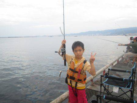 尼崎市立魚つり公園 釣果