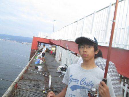 尼崎市立魚つり公園 釣果