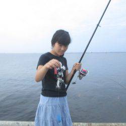 尼崎市立魚つり公園 釣果