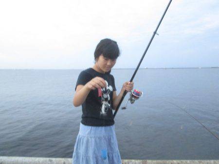 尼崎市立魚つり公園 釣果