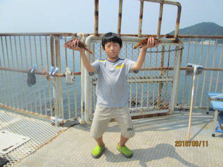 下関フィッシングパーク 釣果