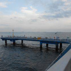 オリジナルメーカー海づり公園(市原市海づり施設) 釣果