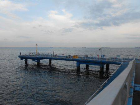 オリジナルメーカー海づり公園(市原市海づり施設) 釣果