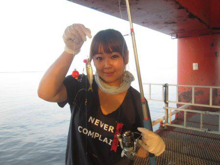 尼崎市立魚つり公園 釣果