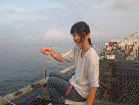 尼崎市立魚つり公園 釣果