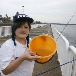 大阪南港海つり公園 釣果
