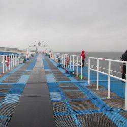 オリジナルメーカー海づり公園(市原市海づり施設) 釣果