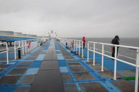 オリジナルメーカー海づり公園(市原市海づり施設) 釣果
