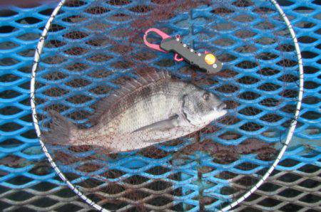 オリジナルメーカー海づり公園(市原市海づり…