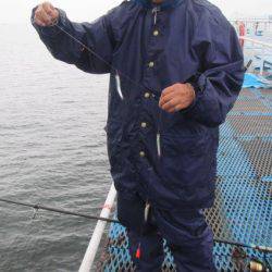 オリジナルメーカー海づり公園(市原市海づり施設) 釣果