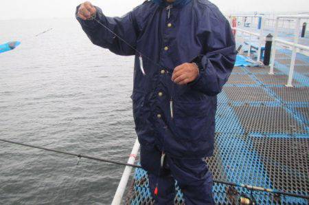 オリジナルメーカー海づり公園(市原市海づり施設) 釣果