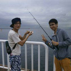 大阪南港海つり公園 釣果