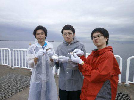 大阪南港海つり公園 釣果