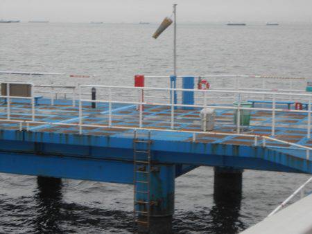 オリジナルメーカー海づり公園(市原市海づり施設) 釣果