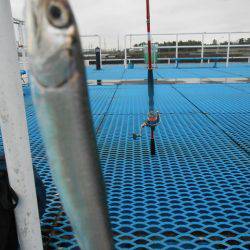 オリジナルメーカー海づり公園(市原市海づり施設) 釣果