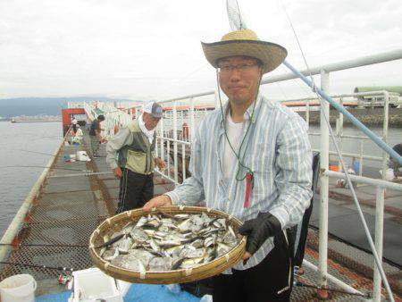 尼崎市立魚つり公園 釣果
