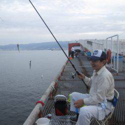 尼崎市立魚つり公園 釣果
