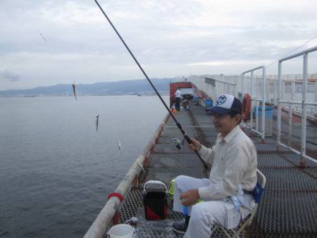 尼崎市立魚つり公園 釣果