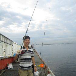 尼崎市立魚つり公園 釣果