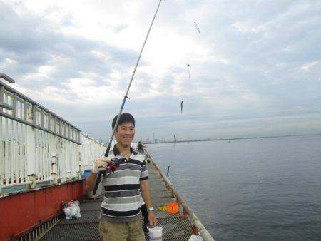 尼崎市立魚つり公園 釣果