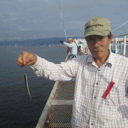 尼崎市立魚つり公園 釣果