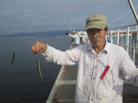 尼崎市立魚つり公園 釣果