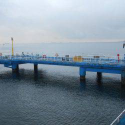 オリジナルメーカー海づり公園(市原市海づり施設) 釣果