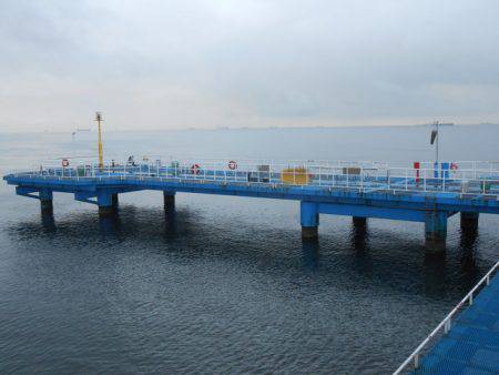 オリジナルメーカー海づり公園(市原市海づり施設) 釣果