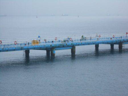 オリジナルメーカー海づり公園(市原市海づり施設) 釣果