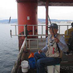 尼崎市立魚つり公園 釣果