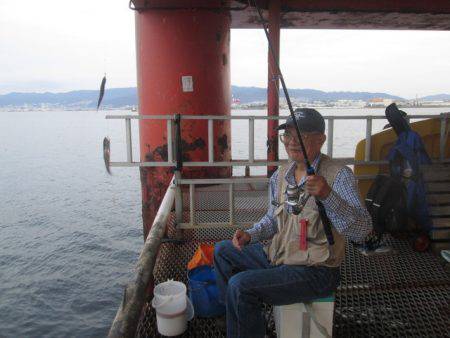 尼崎市立魚つり公園 釣果