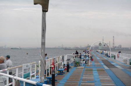 オリジナルメーカー海づり公園(市原市海づり施設) 釣果