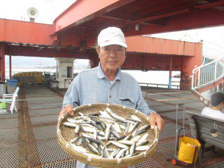 尼崎市立魚つり公園 釣果