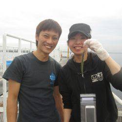 尼崎市立魚つり公園 釣果