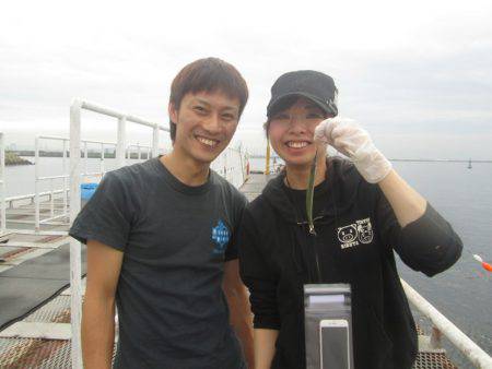 尼崎市立魚つり公園 釣果