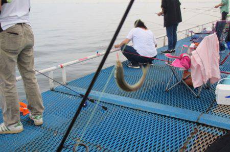 オリジナルメーカー海づり公園(市原市海づり…
