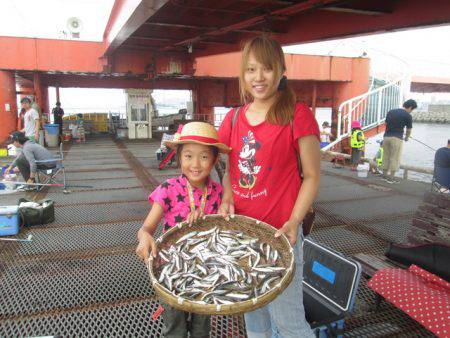 尼崎市立魚つり公園 釣果