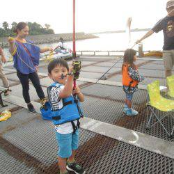 尼崎市立魚つり公園 釣果