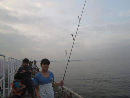 尼崎市立魚つり公園 釣果