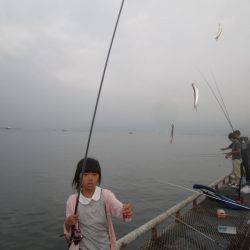 尼崎市立魚つり公園 釣果